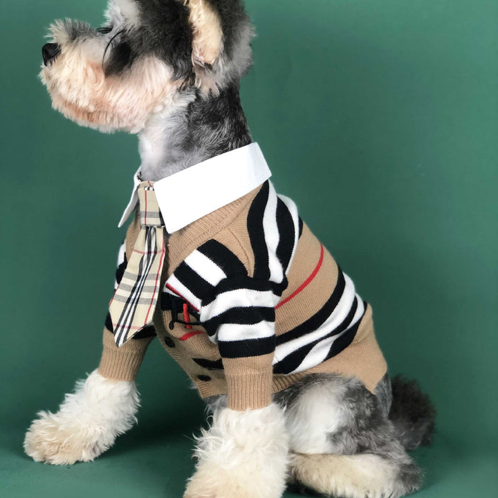 秋冬新作犬ペットニット服 – CELL CLAN